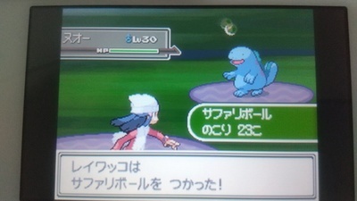 攻略ではなく冒険 ポケモンプラチナプレイ日記 湖の危機 ユキシロ日記