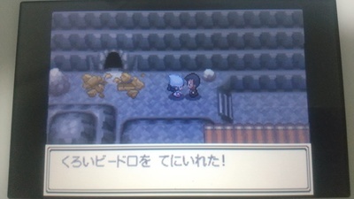 攻略ではなく冒険 ポケモンプラチナプレイ日記23 カラフルな頭 ユキシロ日記 攻略ではなく冒険 ポケモンプラチナプレイ日記23 カラフルな頭 ユキシロ日記