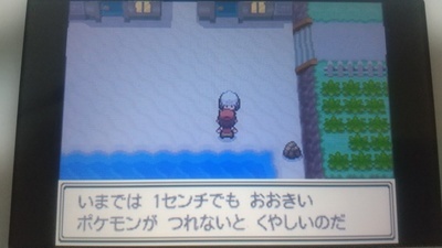攻略ではなく冒険 ポケモンプラチナプレイ日記26 ポケモンごっこ ユキシロ日記