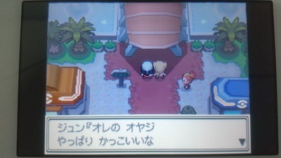 【最強データ】ポケットモンスター プラチナ 61zzeLjxKJL._UF350,350_QL50_.jpg