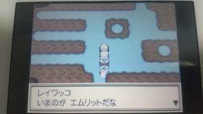 攻略ではなく冒険 ポケモンプラチナプレイ日記35 知 情 意 ユキシロ日記