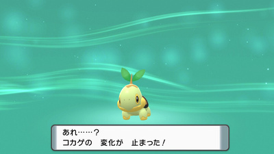 f:id:kishiro100master:20211205144345j:plain