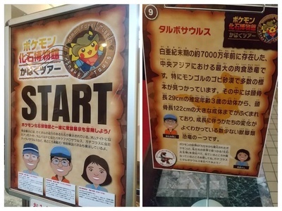 ポケモン化石博物館 特大 大型 ポスター 大分県立美術館で「ポケモン化石博物館」が12月10日から開催され