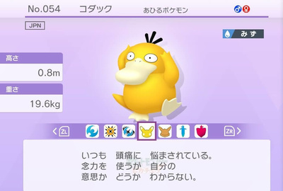 石炭 19.6kg おし