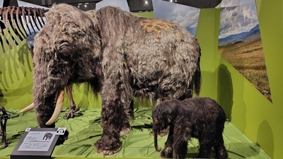 氷河期展 〜人類が見た4万年前の世界〜/国立科学博物館/2025.07