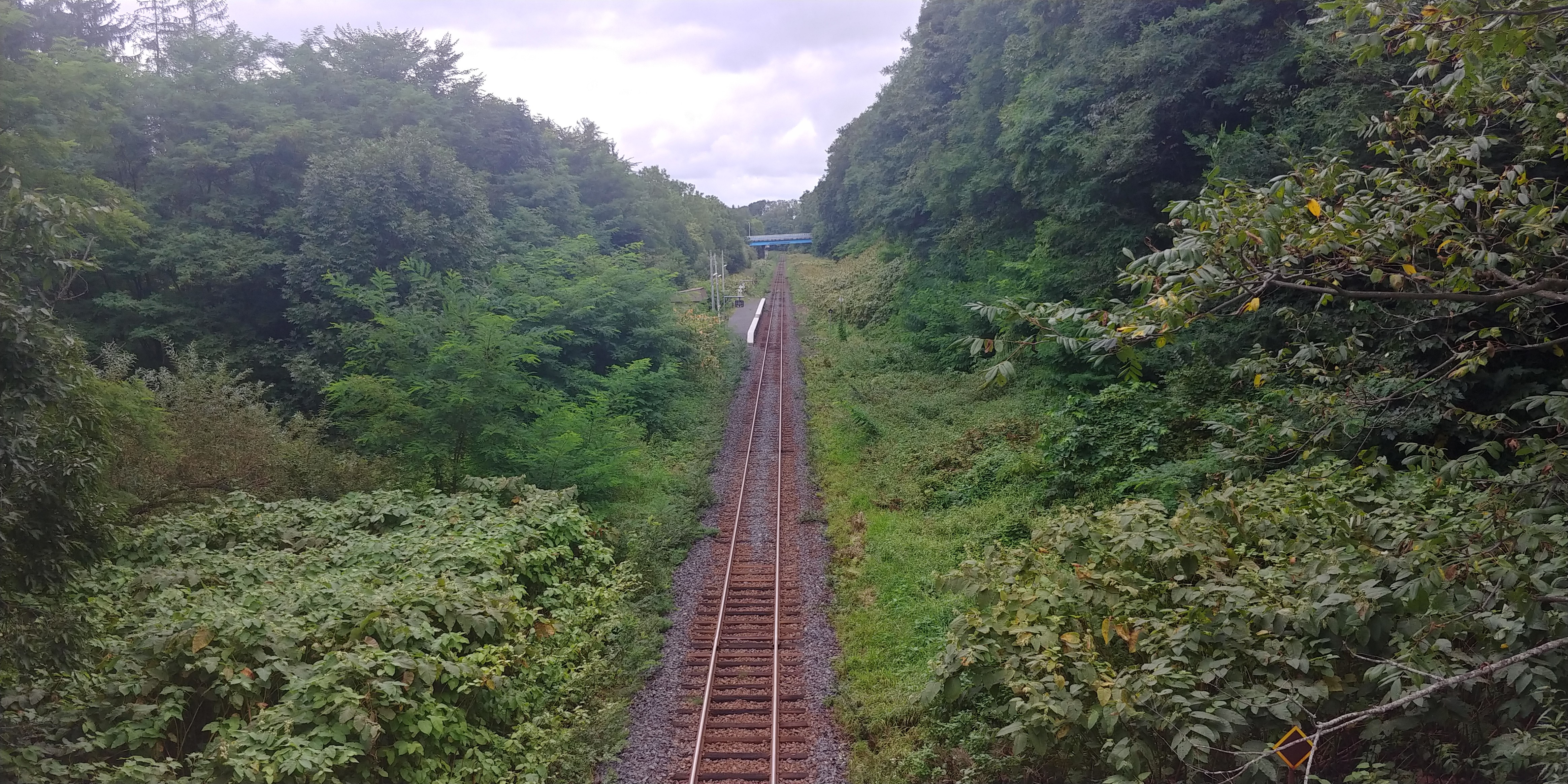 f:id:kishuji-kaisoku:20191228192013j:image