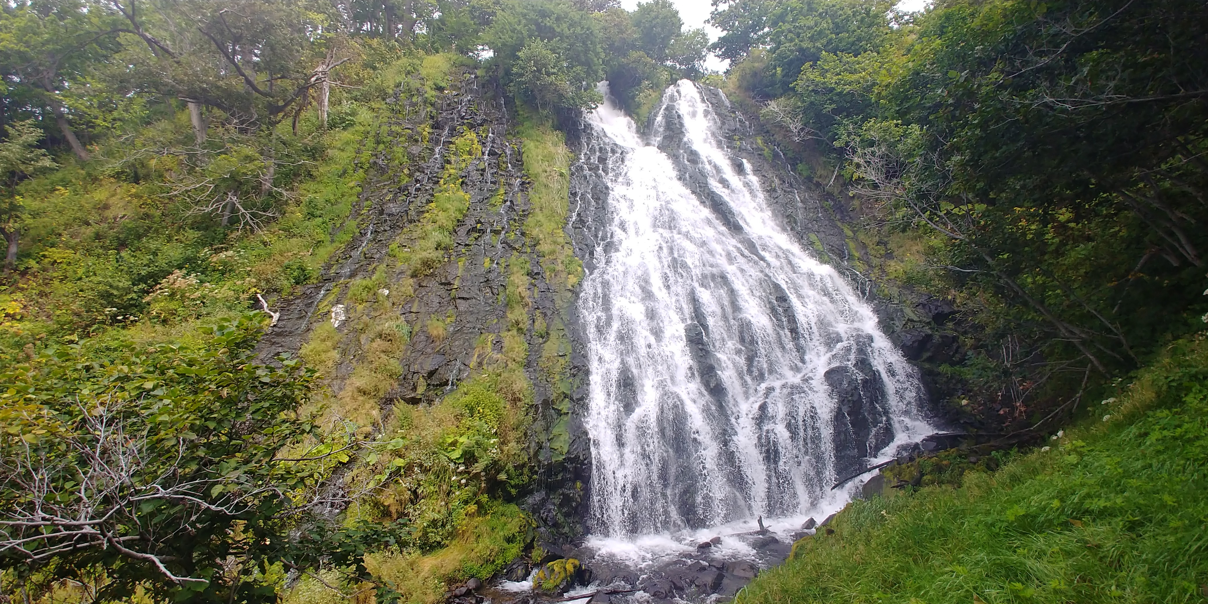 f:id:kishuji-kaisoku:20191228200828j:image