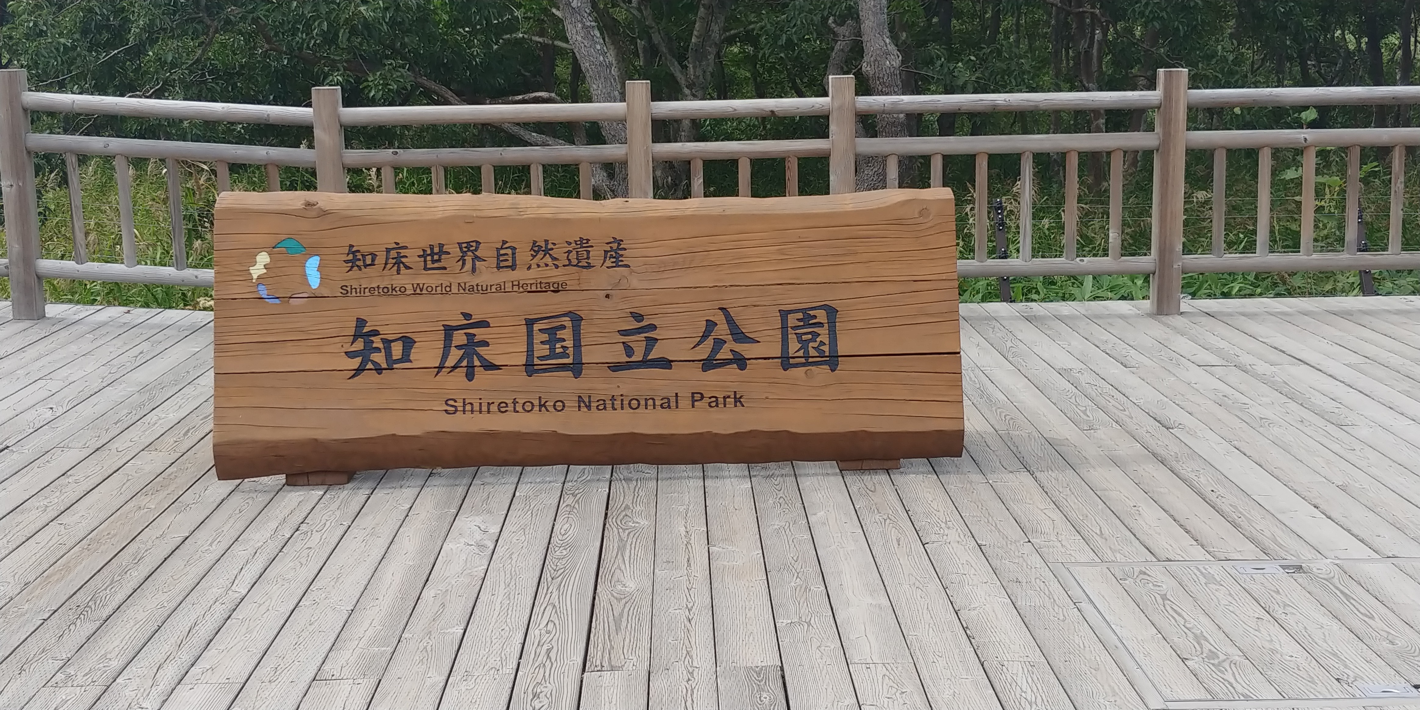 f:id:kishuji-kaisoku:20191228201508j:image