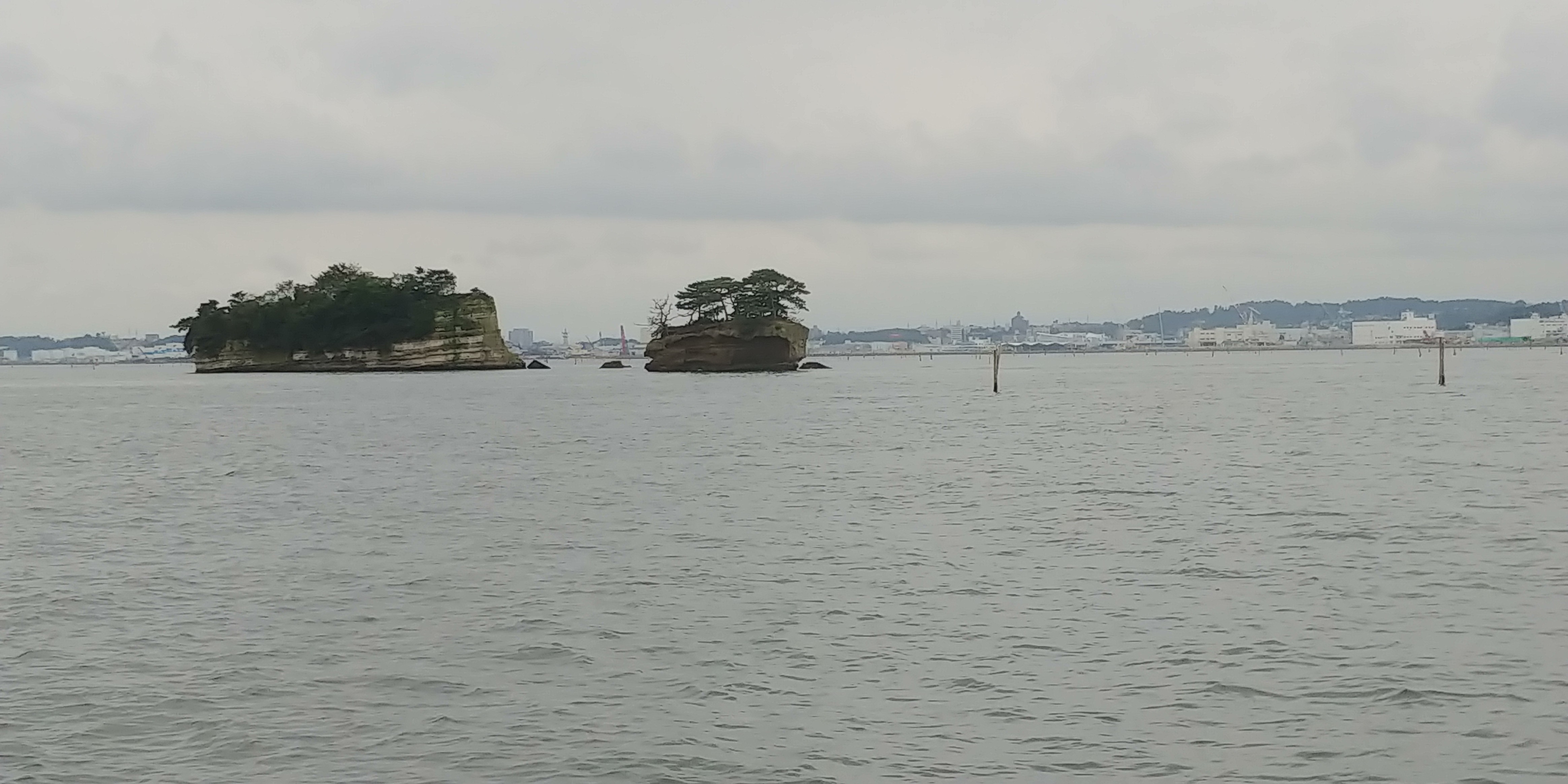 f:id:kishuji-kaisoku:20191230165717j:image