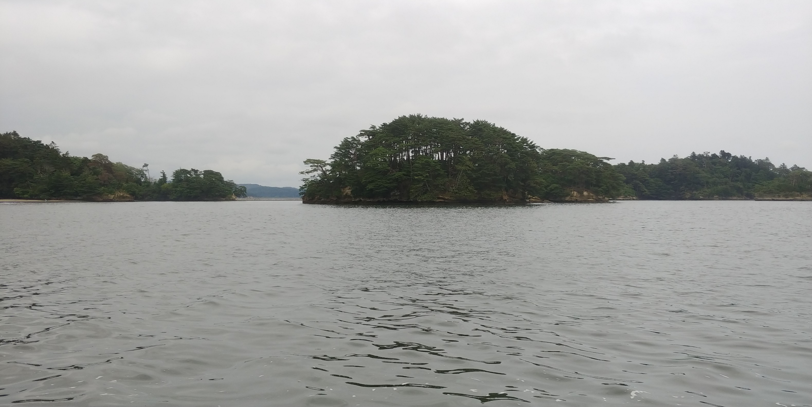 f:id:kishuji-kaisoku:20191230170003j:image