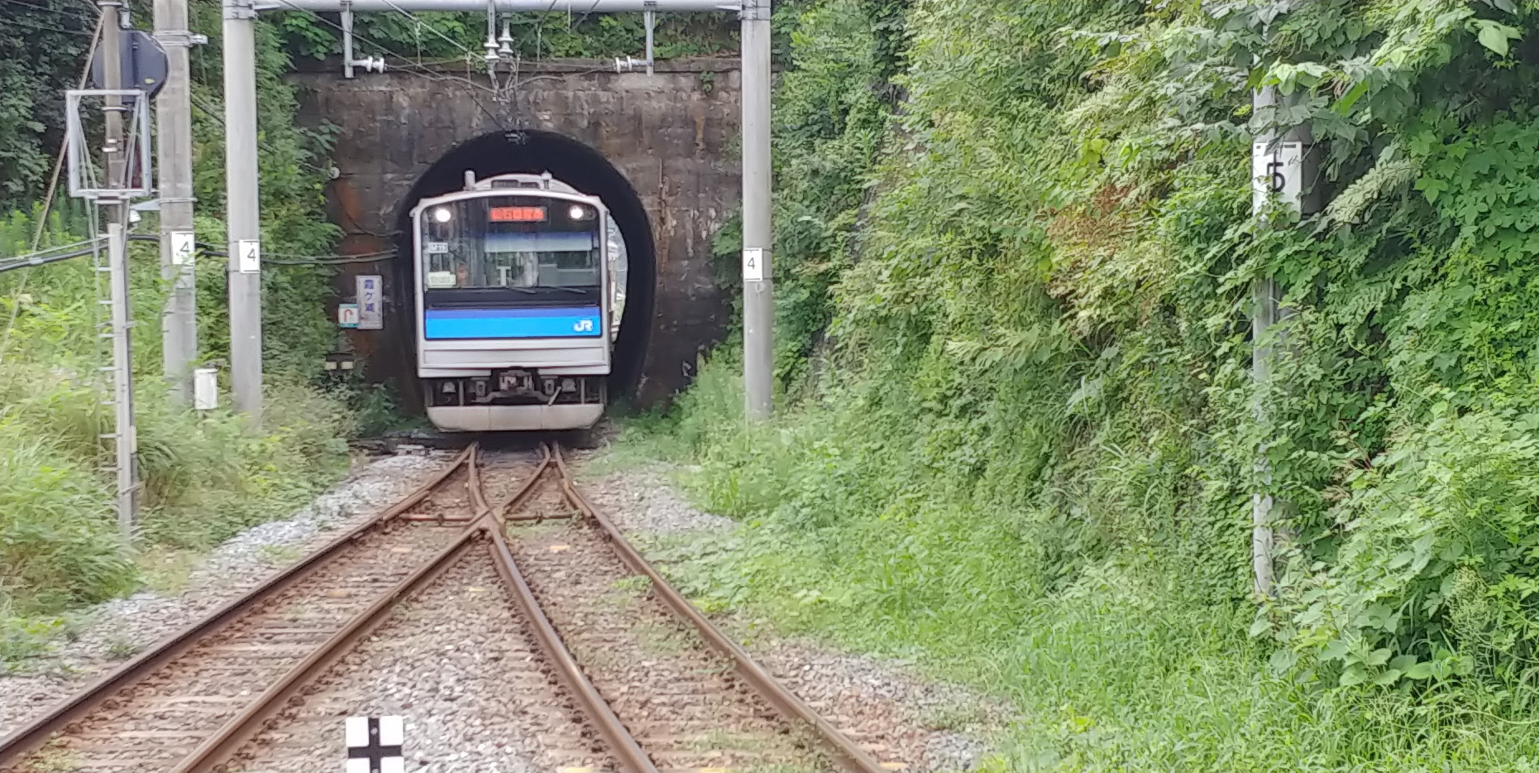 f:id:kishuji-kaisoku:20191230170542j:image