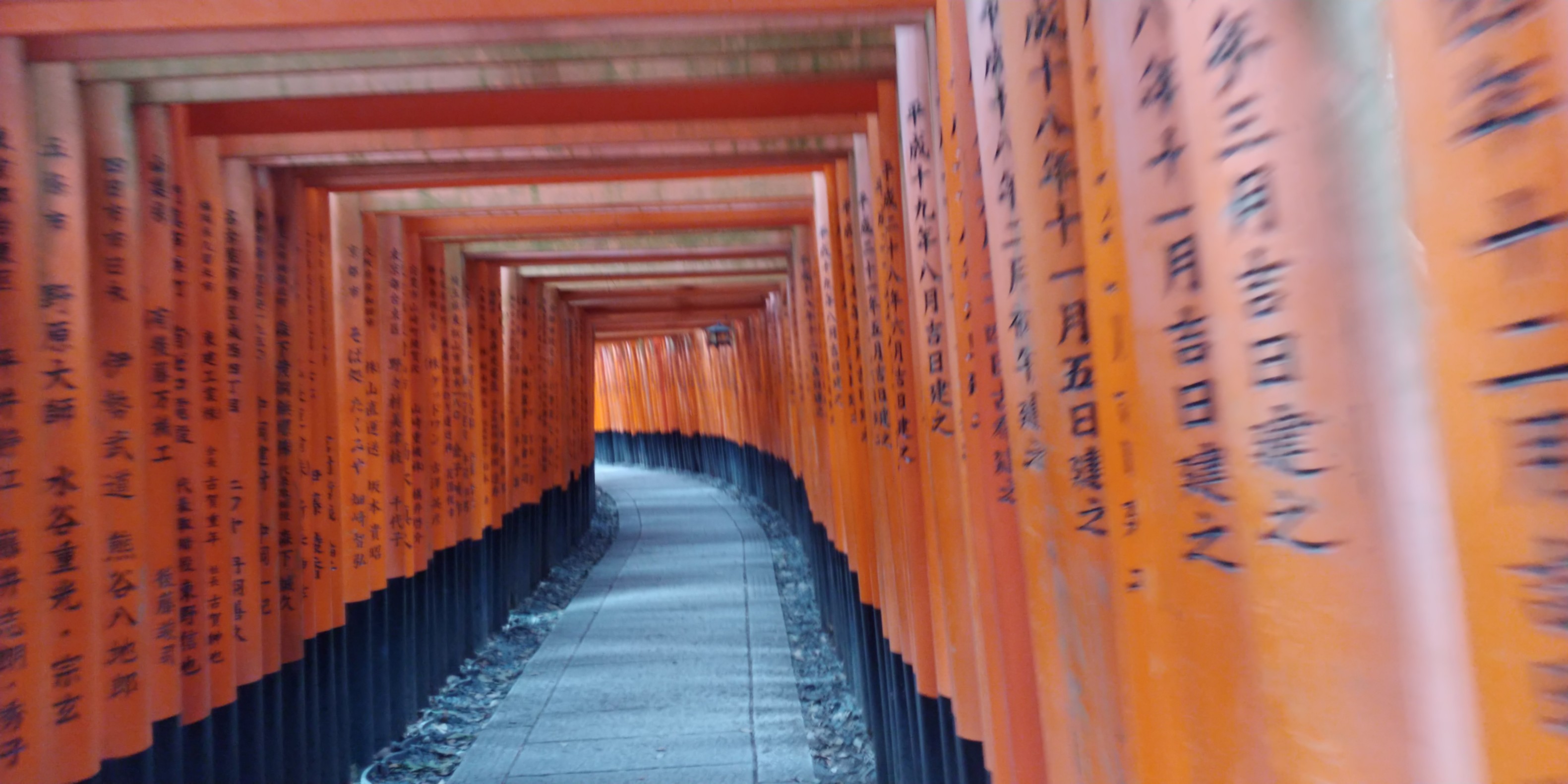 f:id:kishuji-kaisoku:20200122002426j:image