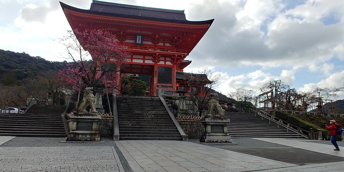 f:id:kishuji-kaisoku:20200312232858j:plain f:id:kishuji-kaisoku:20200312232858j:plain