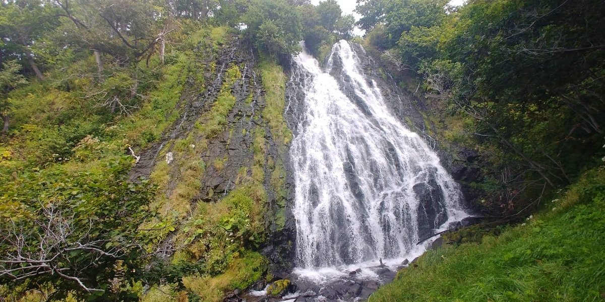 f:id:kishuji-kaisoku:20200520001852j:plain