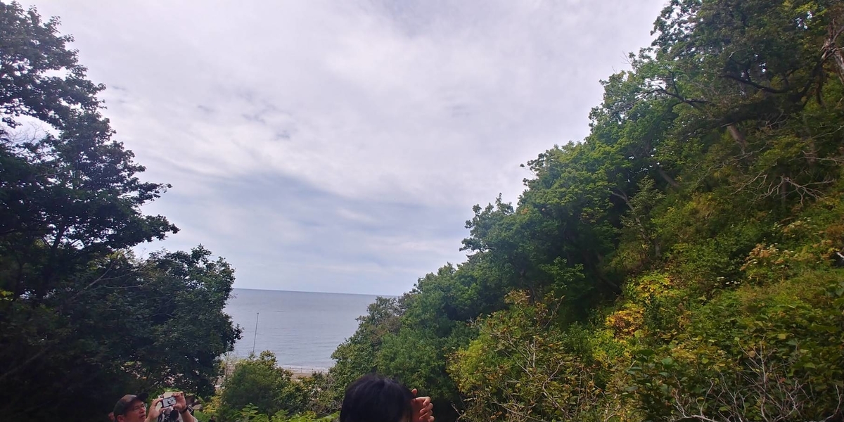 f:id:kishuji-kaisoku:20200520001916j:plain