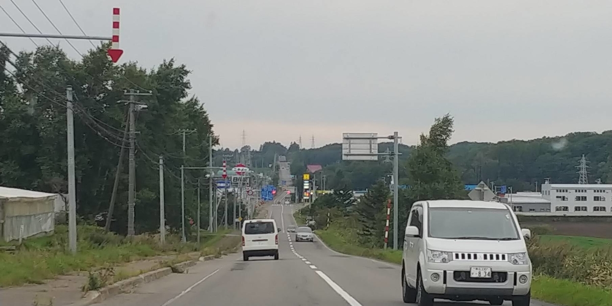 f:id:kishuji-kaisoku:20200520003403j:plain