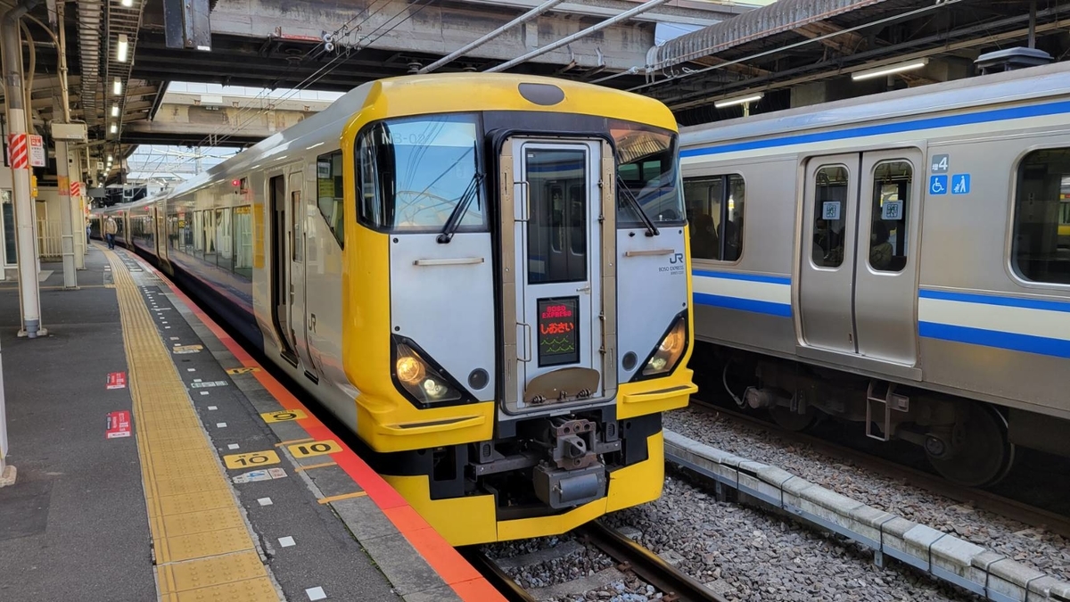 1日1本】E257系で運用 しおさい4号に乗ってみた！ - 敷島路快速