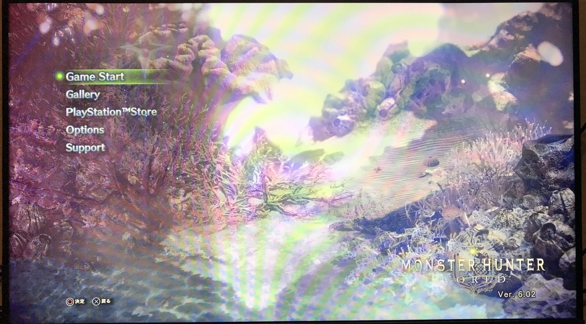 f:id:kisiritooru:20190522101634j:plain