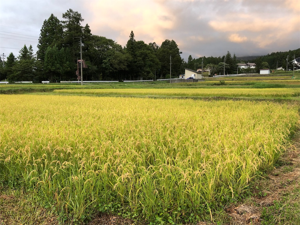 f:id:kiso-m-hakuba:20201213174355j:image