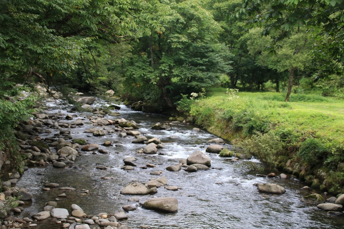 f:id:kisoji502:20190912115740j:plain f:id:kisoji502:20190912115740j:plain