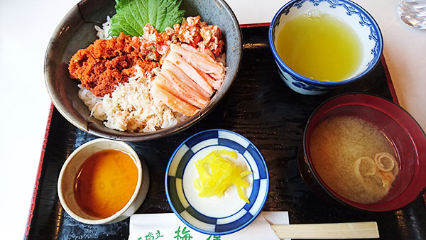 f:id:kisokoji:20161231185504j:plain f:id:kisokoji:20161231185504j:plain