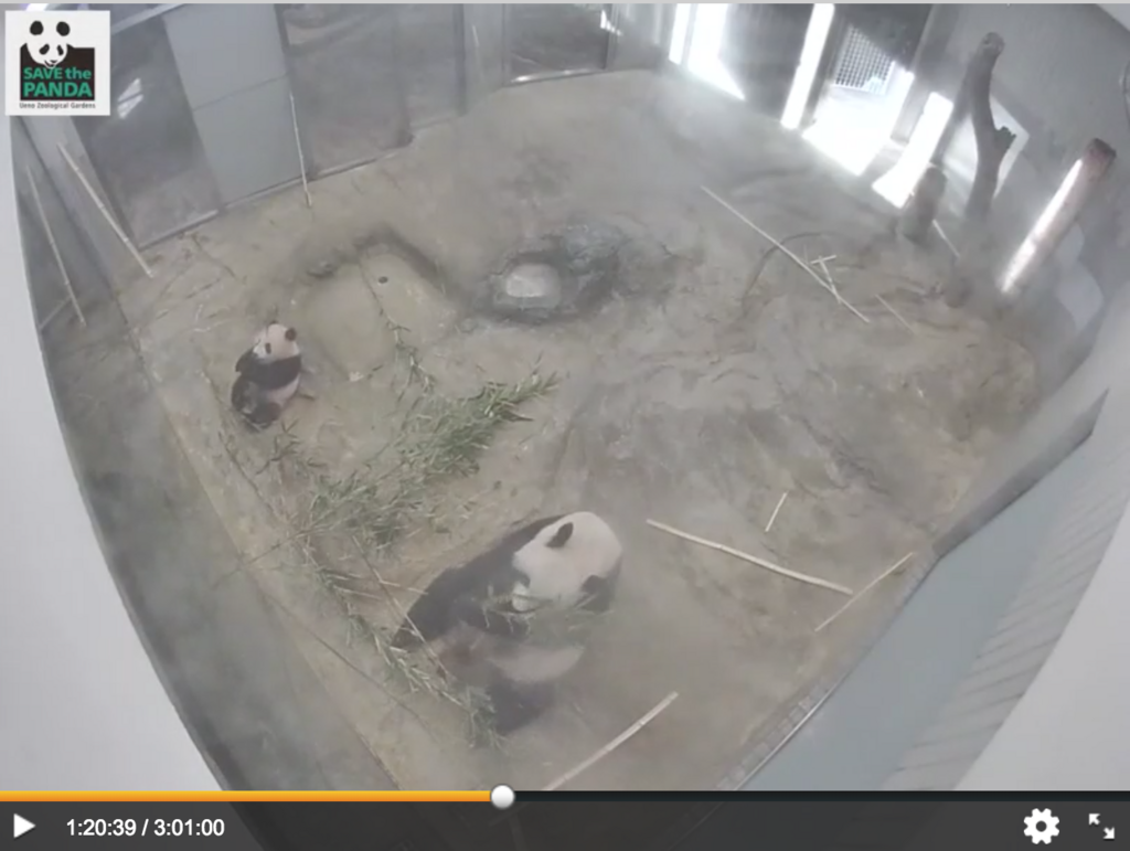 f:id:kisokoji:20171228195332p:plain