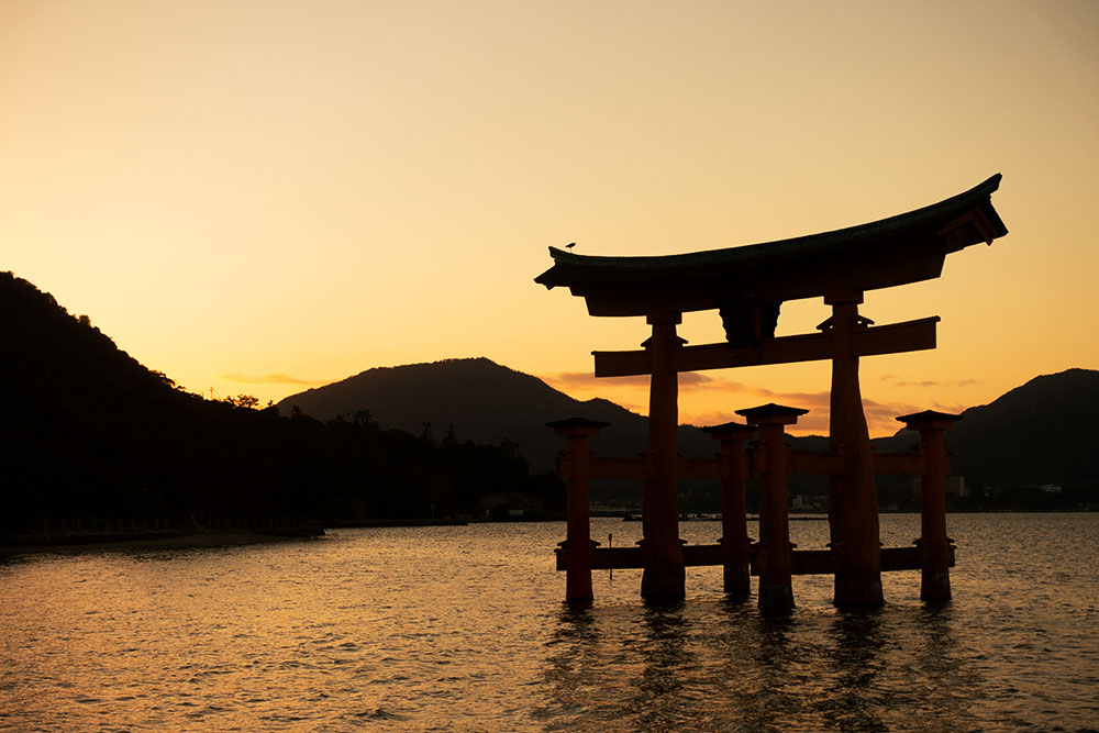 f:id:kisokoji:20181231203214j:plain:w600