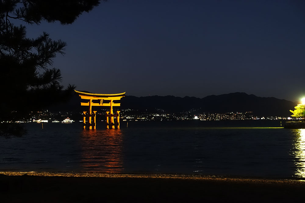 f:id:kisokoji:20181231203405j:plain:w600