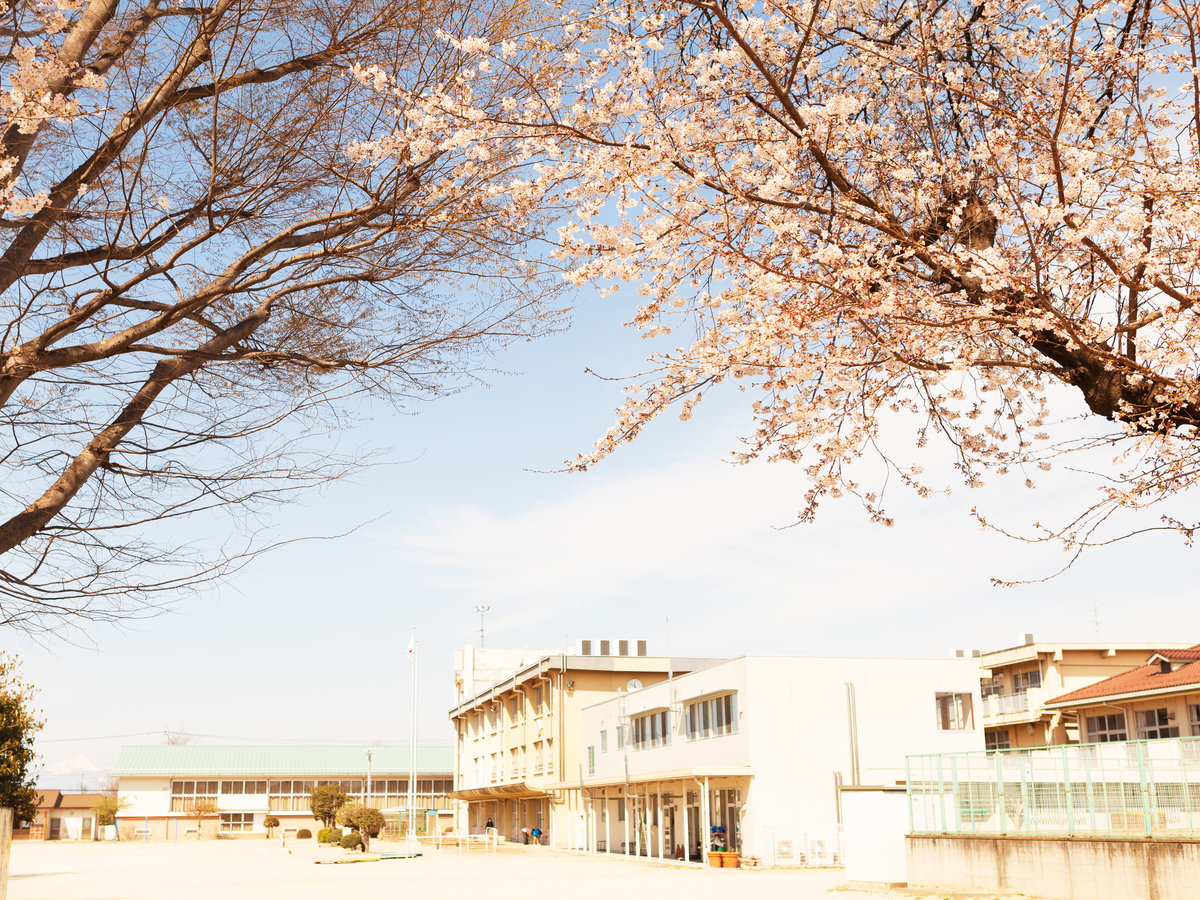 f:id:kisokoji:20190406184401j:plain:w600