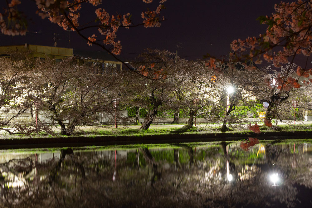 f:id:kisokoji:20190430204807j:plain:w500