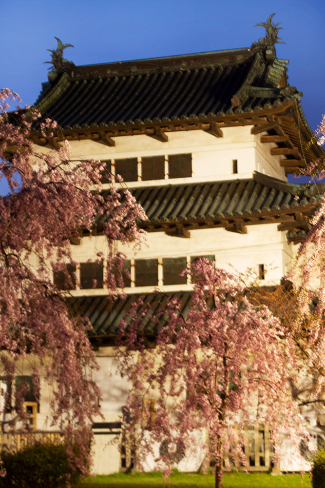 f:id:kisokoji:20190430204849j:plain:h500