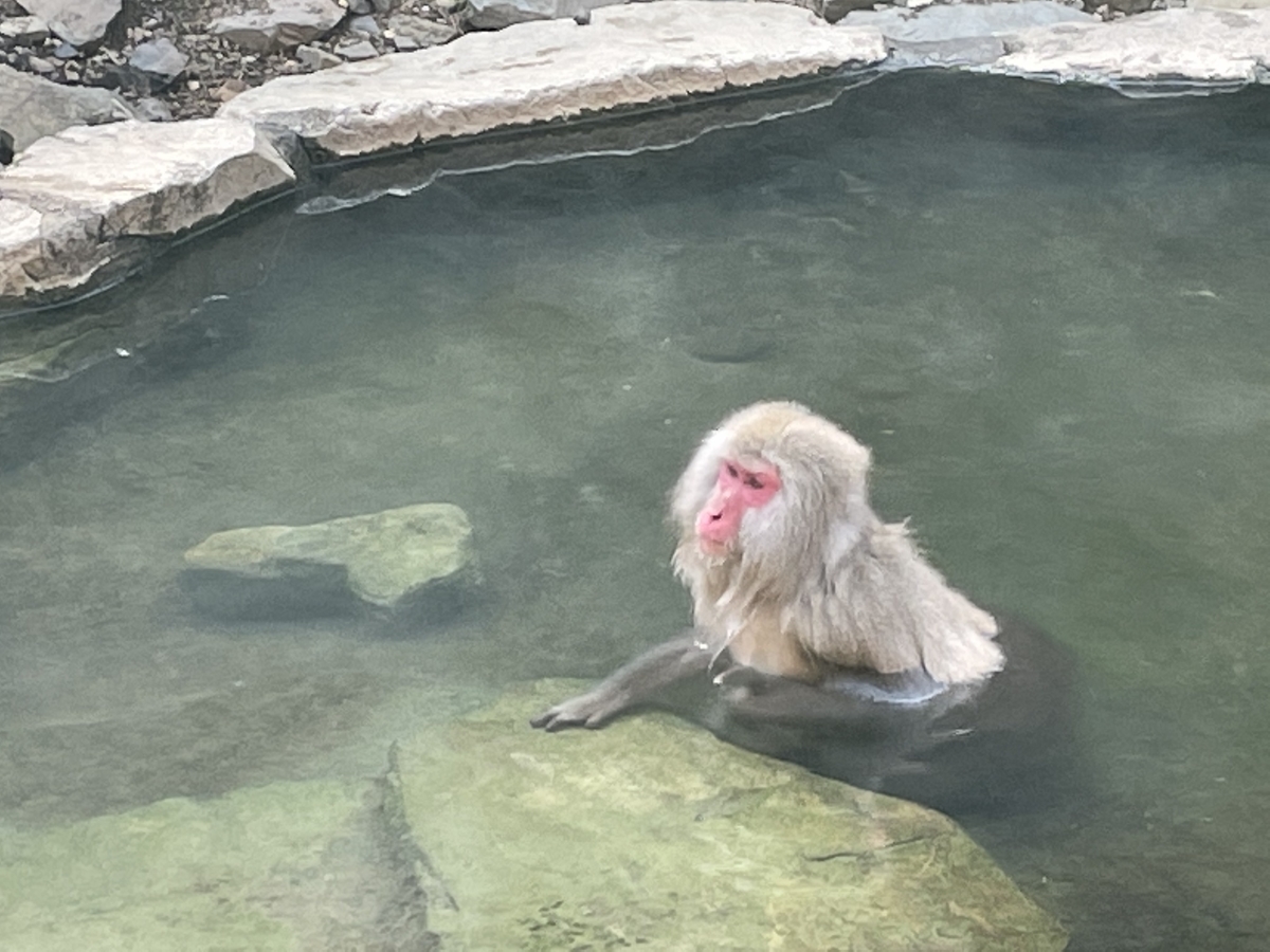 f:id:kisokoji:20210307191228j:plain:w500