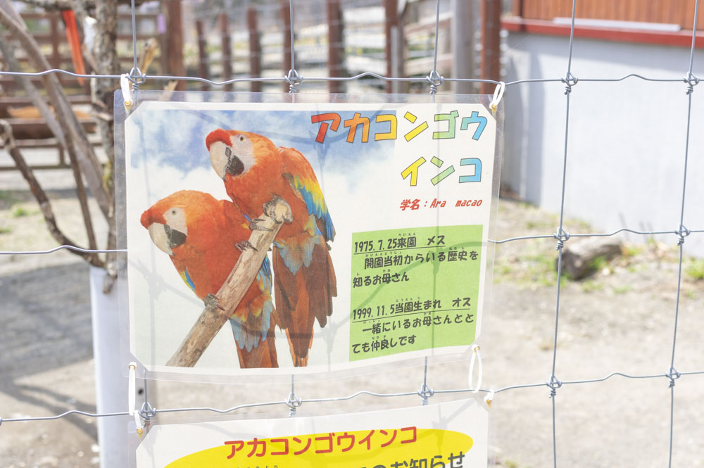 f:id:kisokoji:20210421165851j:plain:w500