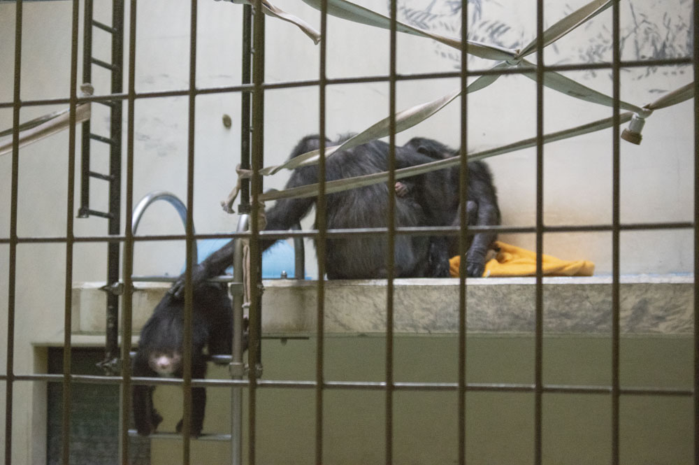 f:id:kisokoji:20210421170321j:plain:w500