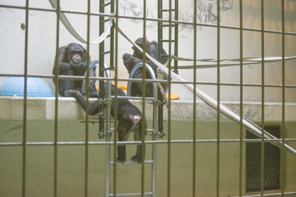 f:id:kisokoji:20210421170502j:plain:w500