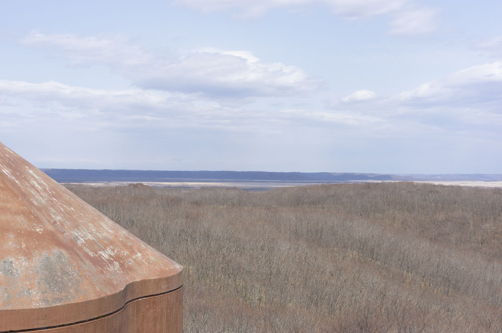 f:id:kisokoji:20210421170839j:plain:w500