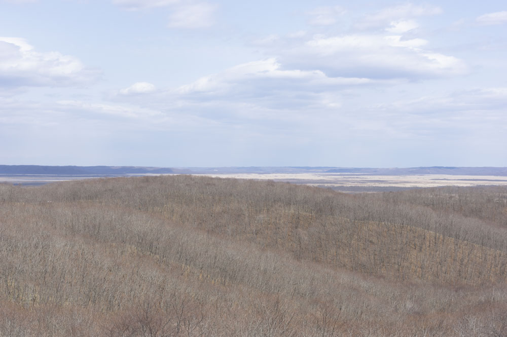 f:id:kisokoji:20210421170903j:plain:w500