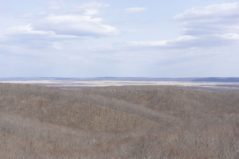 f:id:kisokoji:20210421170927j:plain:w500