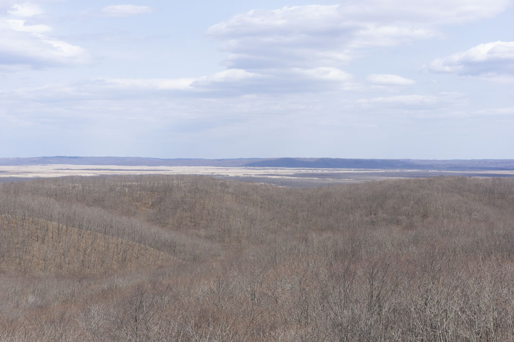 f:id:kisokoji:20210421170945j:plain:w500