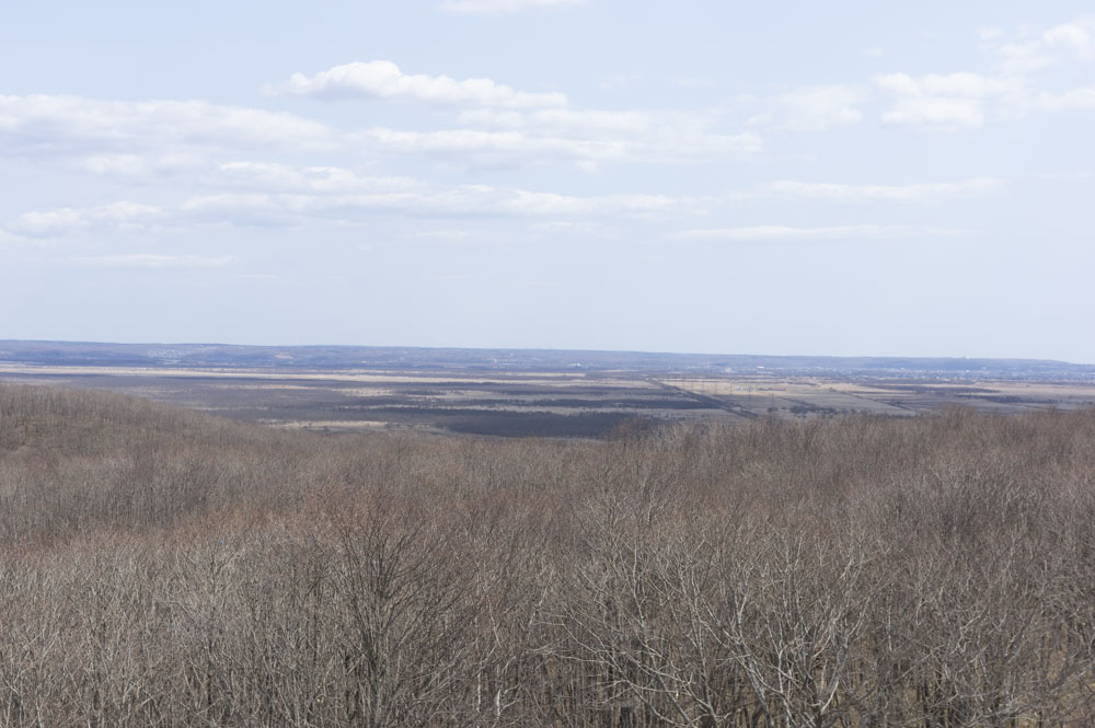 f:id:kisokoji:20210421171059j:plain:w500