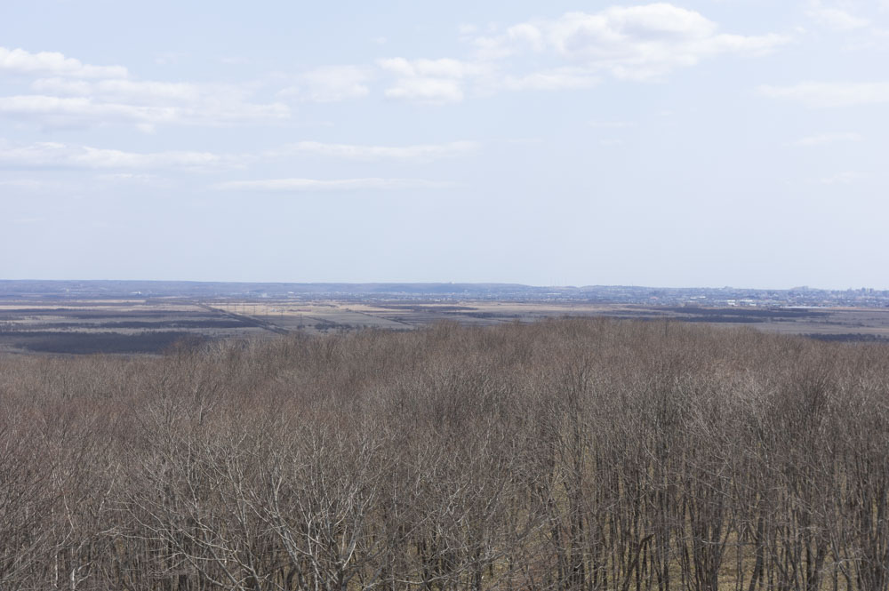 f:id:kisokoji:20210421171130j:plain:w500