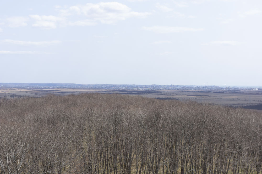 f:id:kisokoji:20210421171156j:plain:w500