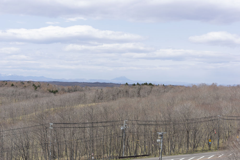 f:id:kisokoji:20210421171227j:plain:w500