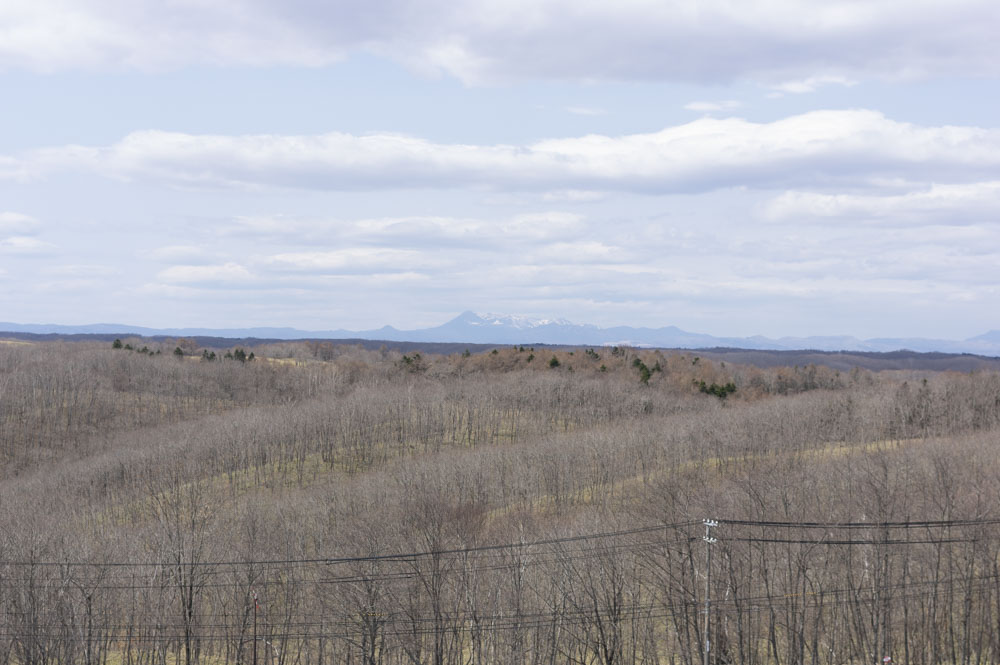 f:id:kisokoji:20210421171251j:plain:w500