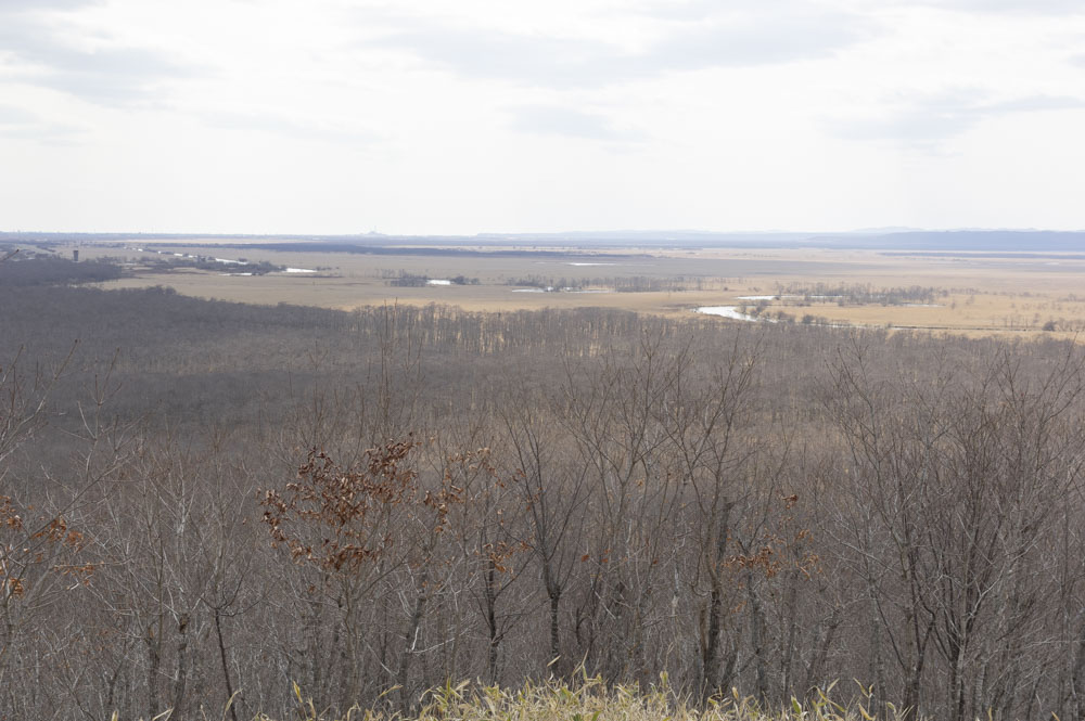 f:id:kisokoji:20210421171548j:plain:w500