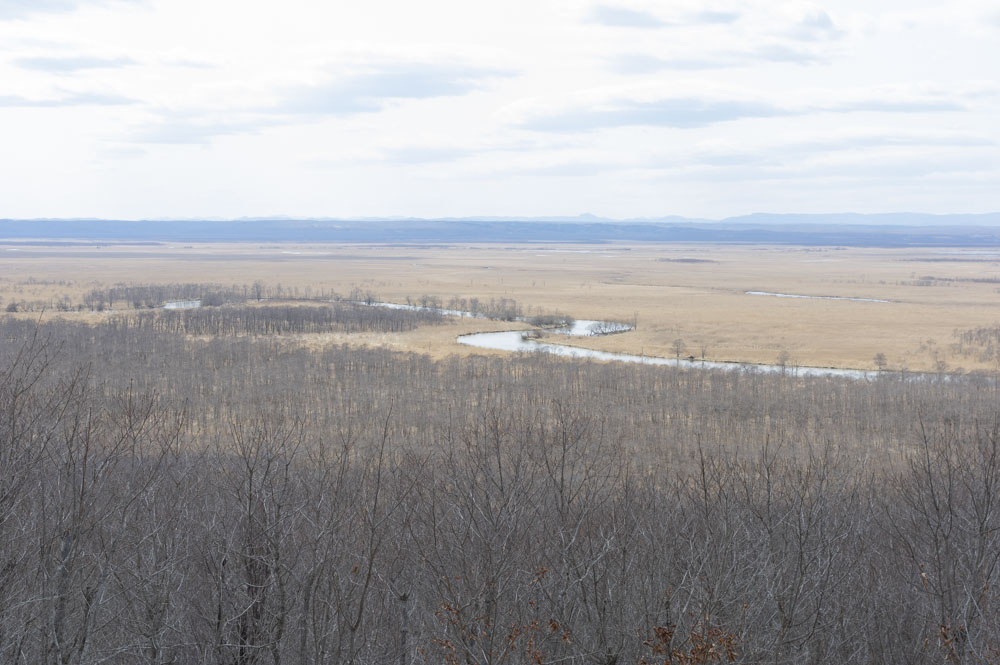 f:id:kisokoji:20210421171619j:plain:w500