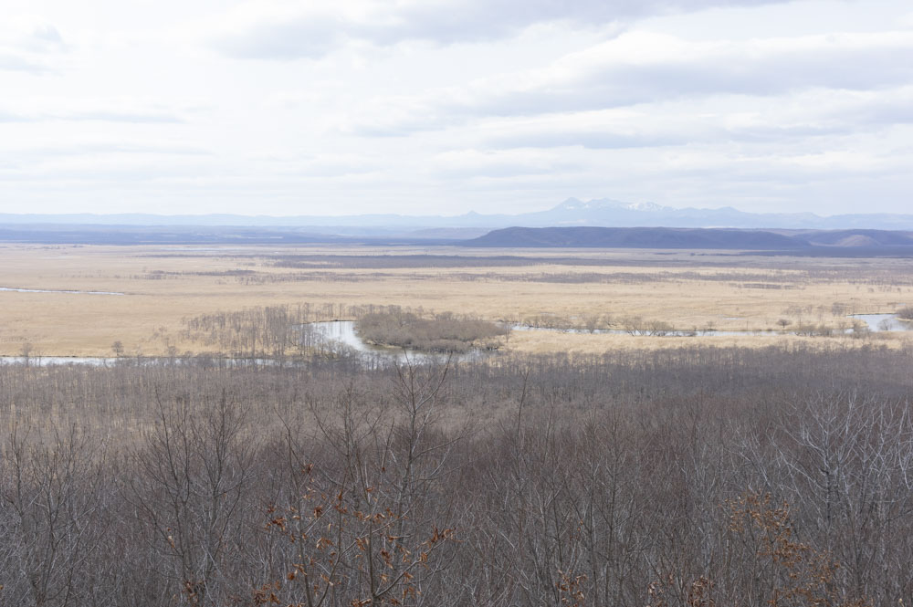 f:id:kisokoji:20210421171643j:plain:w500