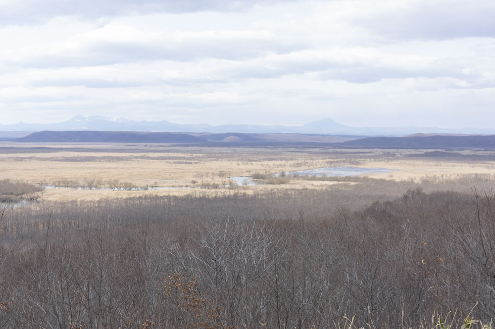 f:id:kisokoji:20210421171710j:plain:w500