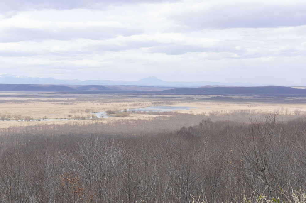 f:id:kisokoji:20210421171730j:plain:w500