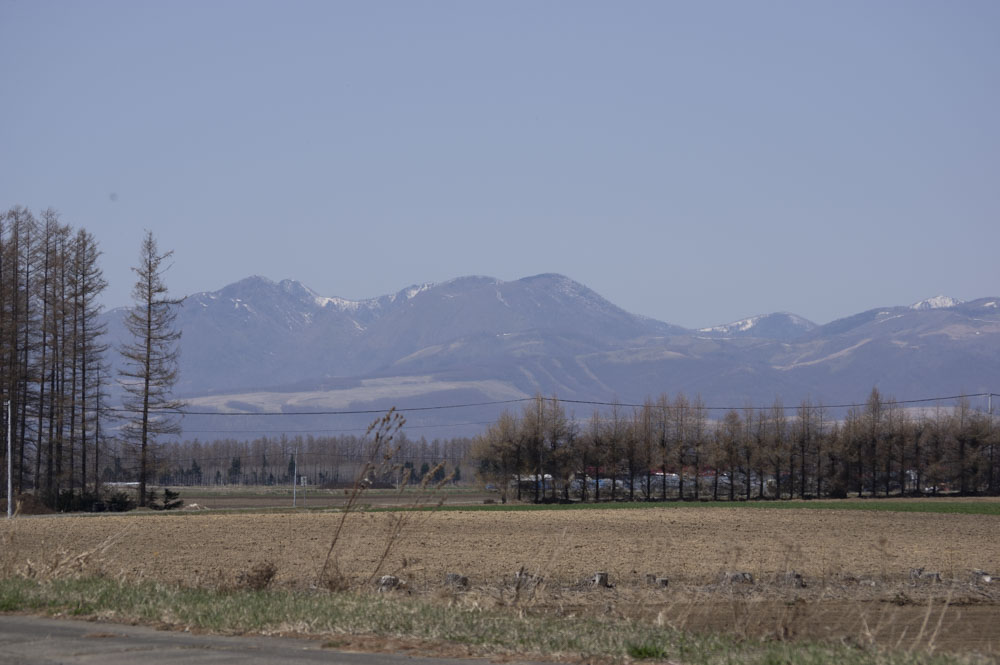 f:id:kisokoji:20210423175458j:plain:w500